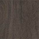 Dark Oak
